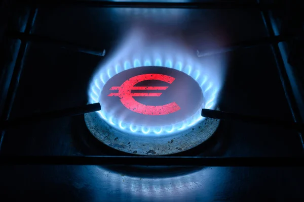 Gas ring burner and Euro sign, European money symbol on home gas stove. Blue propane flame and currency. Concept of energy crisis, Europe economy, oil, expensive cost, sanctions, payment and saving.
