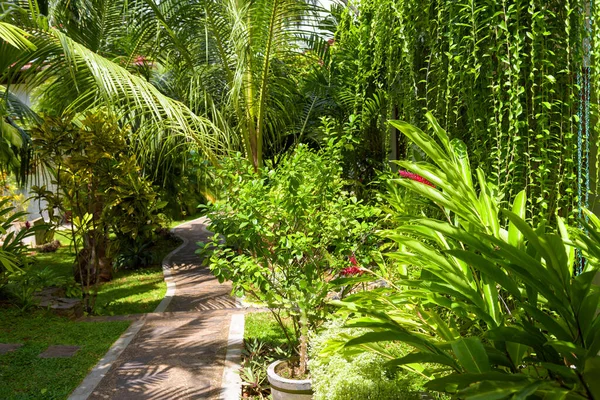 Tropical landscaping in home garden, lush foliage in house backyard in summer. Palm trees, flowers and other plants in landscaped courtyard. Nature, vegetation, growth, landscape and vacation theme.