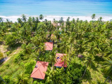 Hindistan cevizi palmiyeleri ve otel evleri olan deniz kıyısı, Sri Lanka. Manzaralı tatil köyü manzarası, ormandaki deniz manzarası. Seyahat, tatil, yağmur ormanı, okyanus ve doğa konsepti.