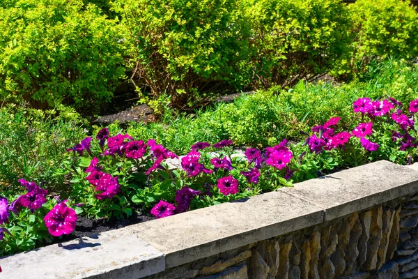 Landscaping Retaining Walls Flowerbeds Residential House Backyard Landscape Design Upscale — Fotografia de Stock