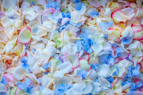 Flower Petal Wedding Confetti Backdrop Texture 免版税图库照片