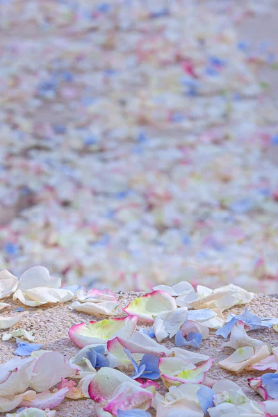 Лепестки Роз Цветок Конфетти Свадьбе Стоковое Фото