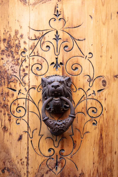 Aslan Gibi Eski Kapı Kolu Antika Eski Tarz — Stok fotoğraf