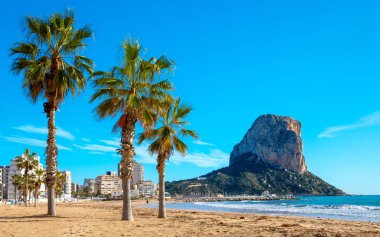 Calpe, plaj, palmiye ağacı ve dağ - İspanya 'nın Alicante ili