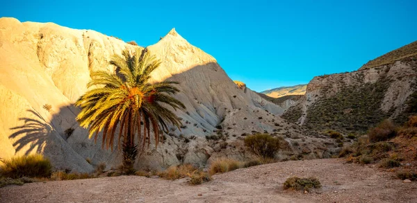 Tabernas Desert Andalusia Almeria Province Spain — Foto Stock