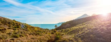 beautiful panorama tropical landscape,  palm tree,  mountain and sea