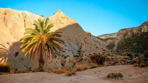 Tabernas Desert Andalusia Spain — Foto Stock