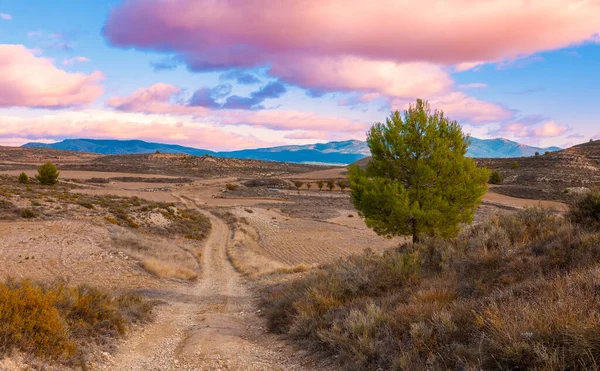 Gün Batımında Aragon Kırsal Alanı Spanya — Stok fotoğraf