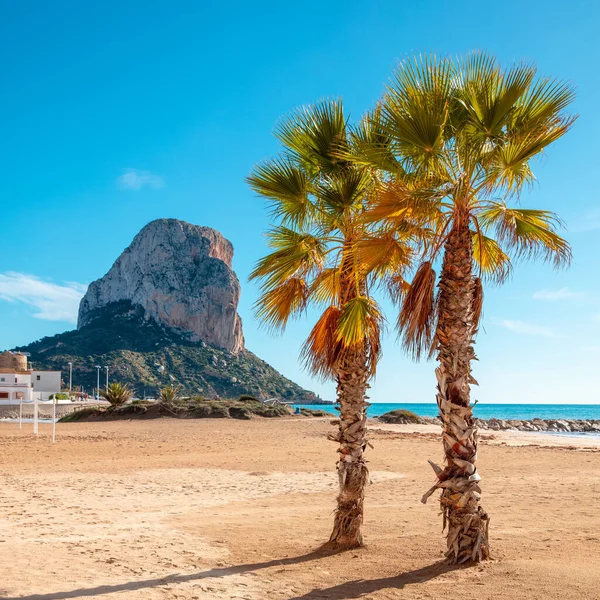 Calpe, beach, palm tree and mountain- Alicante province in Spain