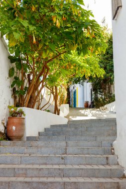 typical street in Tanger,  Morocco