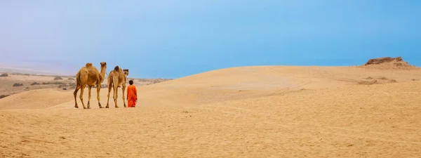 Två Kameler Öknens Sanddyner Marocko — Stockfoto