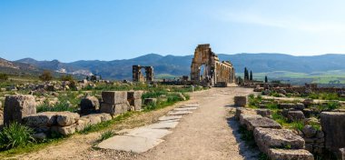 Roman ruins of Volubilis- Meknes province in Morocco