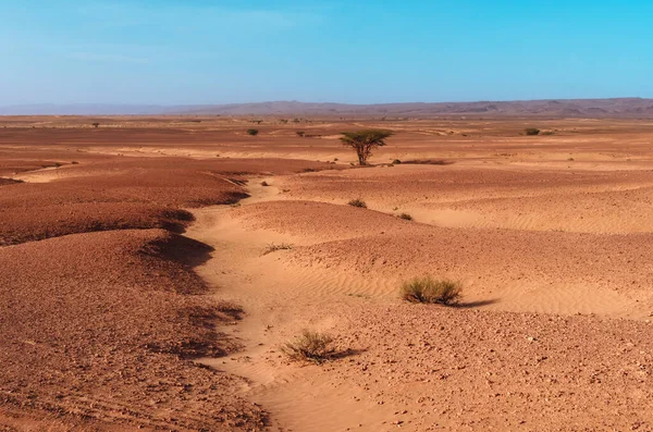 Pustynny Krajobraz Maroka Pobliżu Erg Chegaga — Zdjęcie stockowe