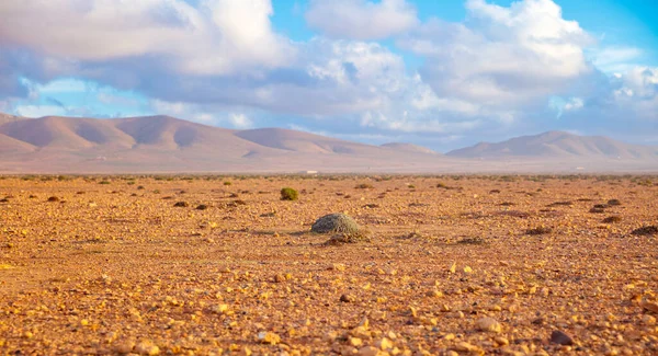 モロッコのパノラマ砂漠の風景 — ストック写真