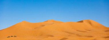 Sahara çölünde gün batımı Fas 'ta Merzouga' da.