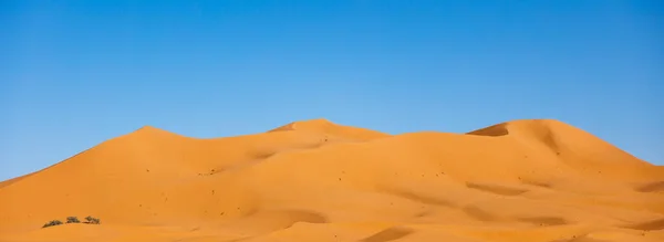 萨哈拉沙漠沙丘上的落日 摩洛哥的Merzouga — 图库照片
