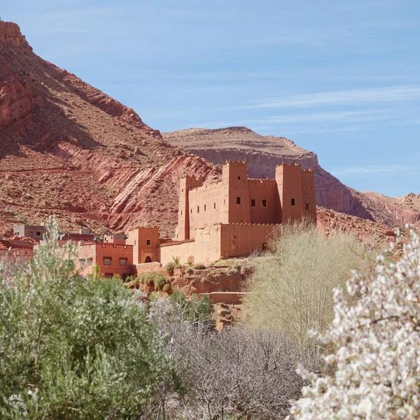 Geleneksel Fas Köyü Tamedakhte Köyü Ben Haddou Yakınlarında Ouarzazate Yakınlarında — Stok fotoğraf