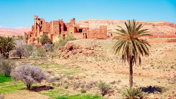 Geleneksel Fas Köyü Tamedakhte Köyü Ben Haddou Yakınlarında Ouarzazate Yakınlarında — Stok fotoğraf