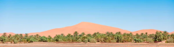 モロッコ サハラ砂漠の砂丘 — ストック写真