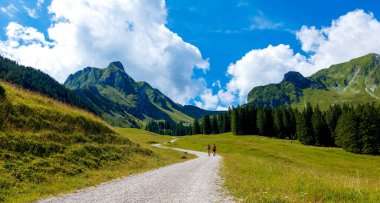 İsviçre 'deki dağ manzarası