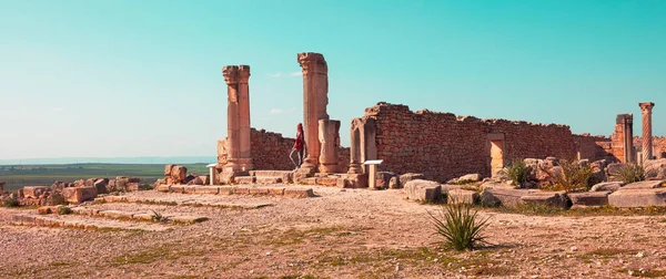 Vista Basílica Volubilis Marruecos Turismo Viajes Vacaciones —  Fotos de Stock