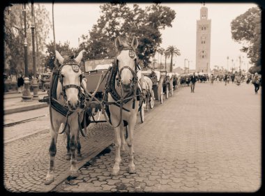 Marakeş 'te turistler için at arabası
