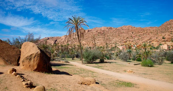 Tafraoute Landschaft Mit Felsformation Und Palmen Marokko — Stockfoto