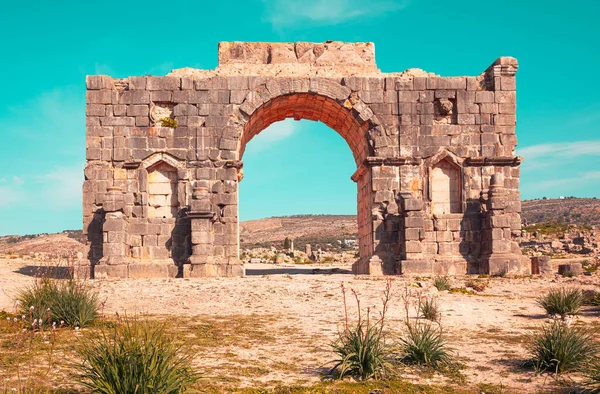 Roman Ruins Volubilis Meknes Province Morocco — Zdjęcie stockowe
