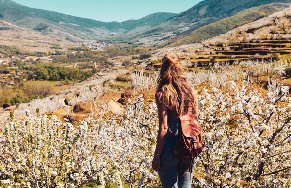 Schöne Aussicht Auf Das Jerte Tal Mit Kirschblüte Spanien Estramedura — Stockfoto