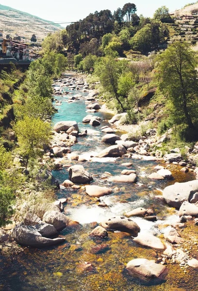 Spanya Nehir Vadisi Orman — Stok fotoğraf