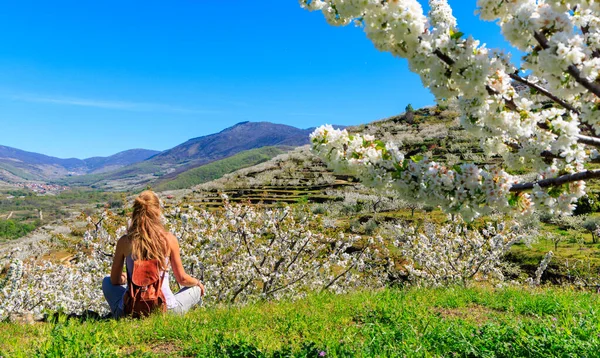 Beautiful panorama of Jerte valley with cherry blossom in Spain- Extremadura