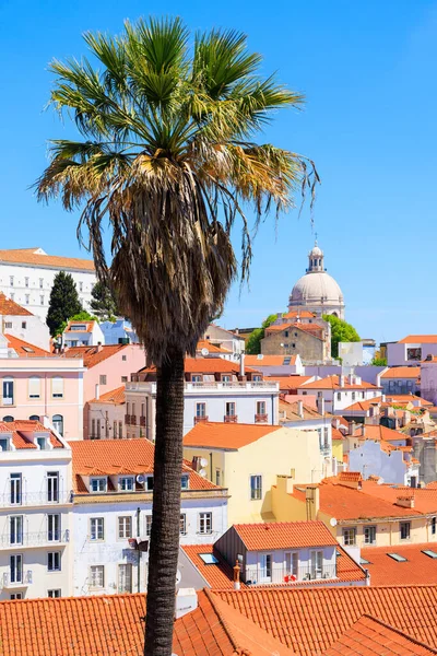 Alfama Lissabon Stadsgezicht Met Palmboom Toerisme Europa Portugal — Stockfoto