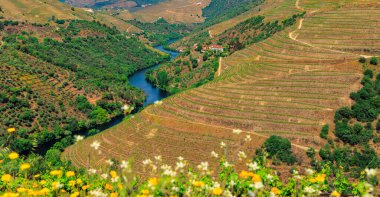 Douro Vadisi - Portekiz turizmi