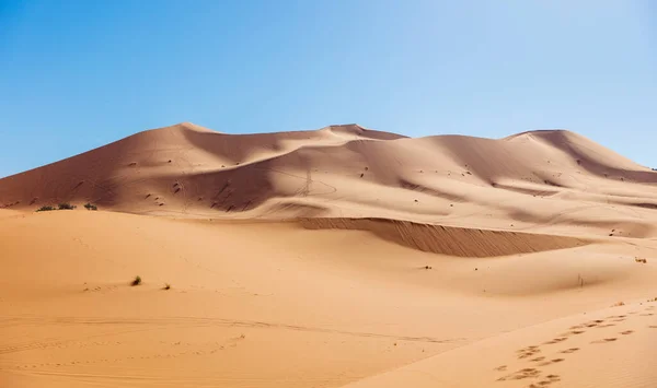 摩洛哥蓝天旅行 撒哈拉沙漠旅游的沙丘景观 — 图库照片