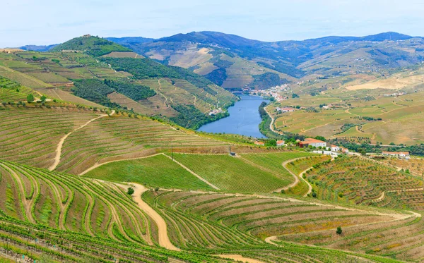 Piękna Dolina Douro Portugalia — Zdjęcie stockowe