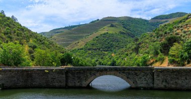 Portekiz 'deki Douro Vadisi manzarası