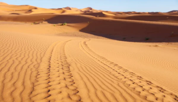 Adventure Excursion Exploration Sahara Desert Offroad Safari Sand Desert Tracks — Stock Photo, Image