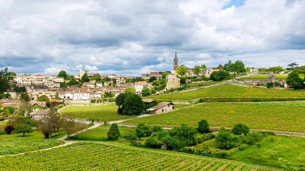 Panoramic View Vineyard Village Saint Emilion Tourism France Nouvelle Aquitaine — Stock Photo, Image