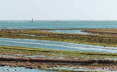 Düşük gelgit üzerine Atlantik Okyanusu Charente Denizcilik, Fransa Gironde