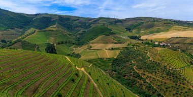 Douro Vadisi - Portekiz turizmi