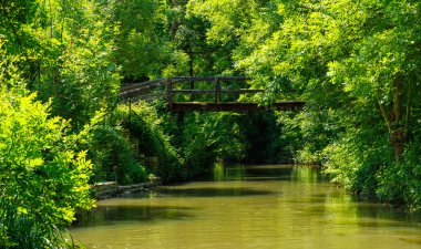 Marais Poitevin, Venise verte, Vende, Deux-Svres, Charente-Maritime, Yeni Aquitaine, Fransa.