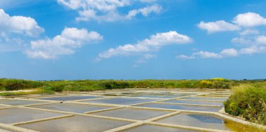 Guerande saltmarsh with reflection in Loire Atlantic, Saline - France clipart