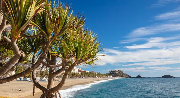 Schöner Strand Urlaub Sommerreise Spanien — Stockfoto