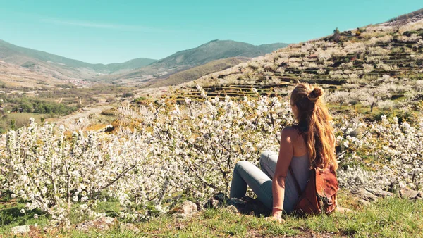 İspanya 'da kiraz çiçekleri açan Jerte Vadisi' nin güzel manzarası Extremadura