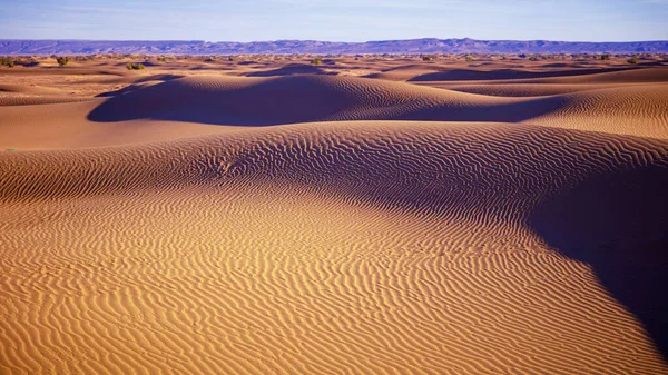 Gün Batımında Altın Kum Tepeciği Manzarası Fas Sahra Çölü — Stok fotoğraf