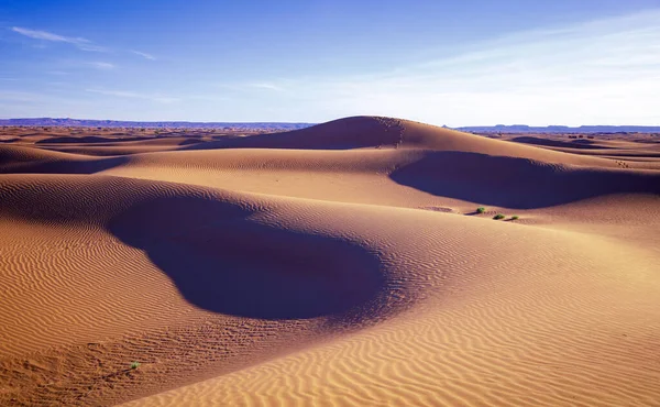 Vlnící Písečná Duna Saharská Pouštní Krajina Při Západu Slunce — Stock fotografie