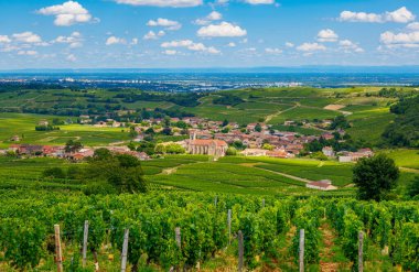 Fransa 'nın en güzel panoramik manzarası Beaujolais.
