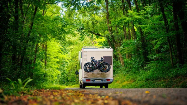 Camper Bos Reizen Avontuur Road Trip Concept — Stockfoto
