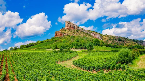 Solutre Rock Vineyard Landscape Burgundy France — Stock Photo, Image