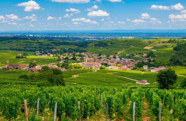Piękny Widok Wieś Winnicę Francji Beaujolais — Zdjęcie stockowe